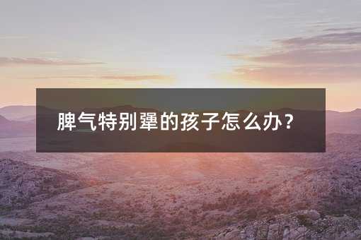 脾气特别犟的孩子怎么办？